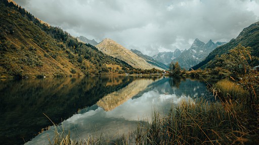 Reflection In Nature