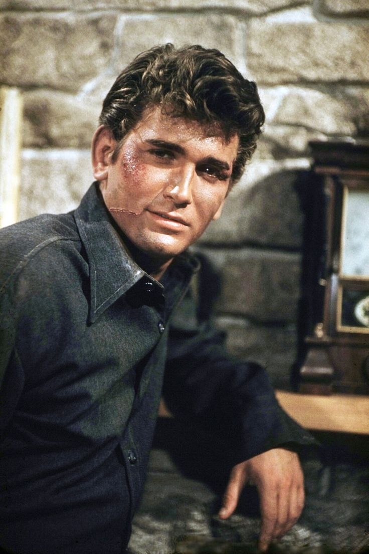 Why Is the Michael Landon Last Photo Still So Talked About?