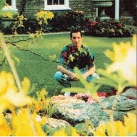 What Is the Freddie Mercury Last Photo Everyone Keeps Talking About?