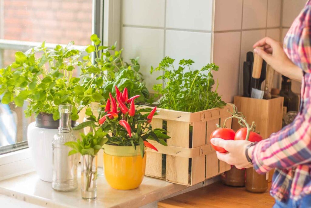 Herbs A Small Space, Big Flavor